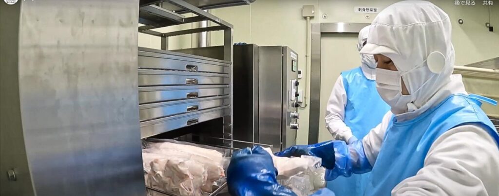 xếp các gói cá nóc đã qua chế biến vào khay đông lạnh