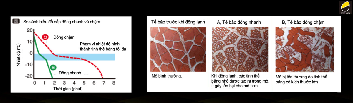 Zero 03 giúp bảo quản thực phẩm lâu dài
